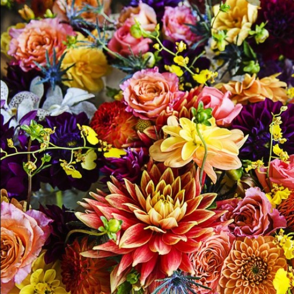 Meet your Posher, Zuleyha